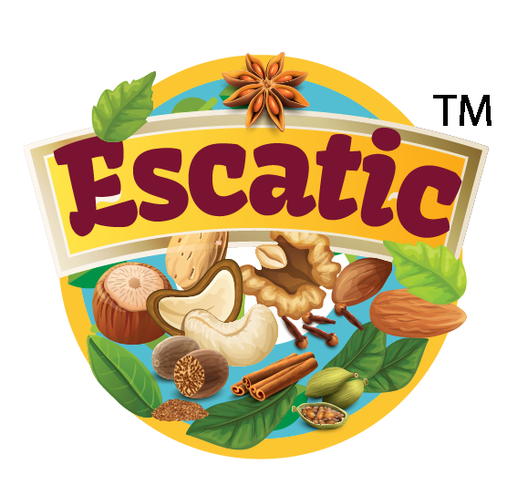 logo-01-01