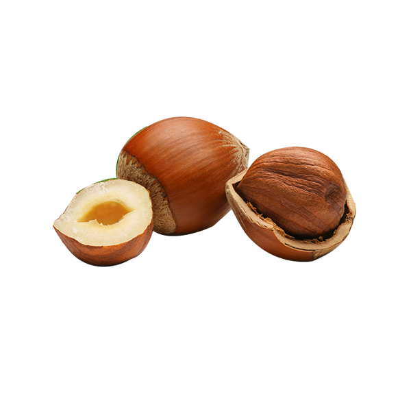 Hazel Nuts